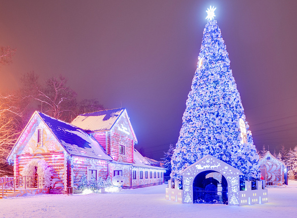 Новогоднее приключение в Усадьбе Деда Мороза в Кузьминках (из г. Наро-Фоминск)
